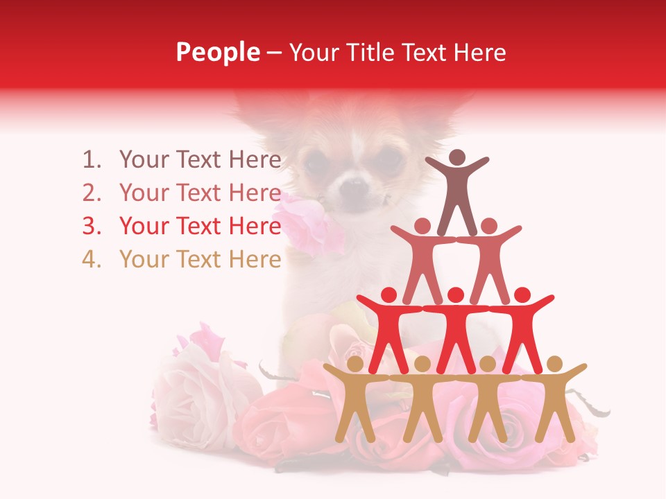 Purebred Cute White PowerPoint Template