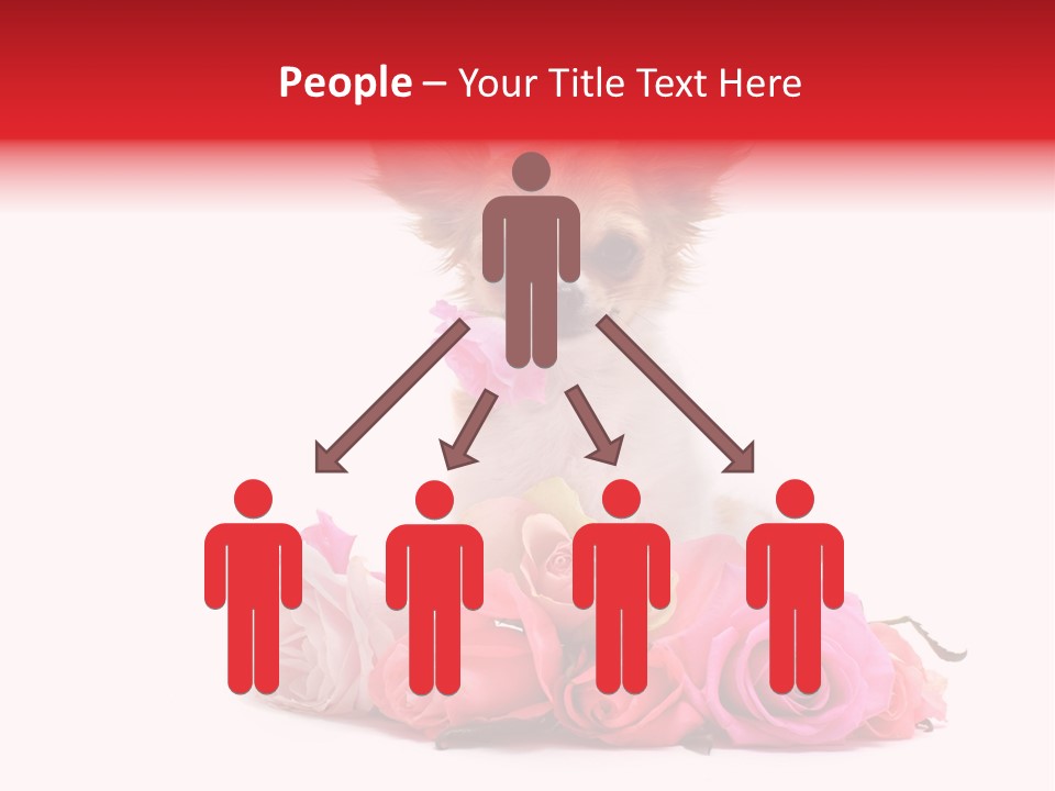 Purebred Cute White PowerPoint Template