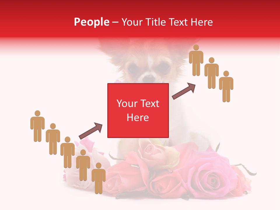 Purebred Cute White PowerPoint Template