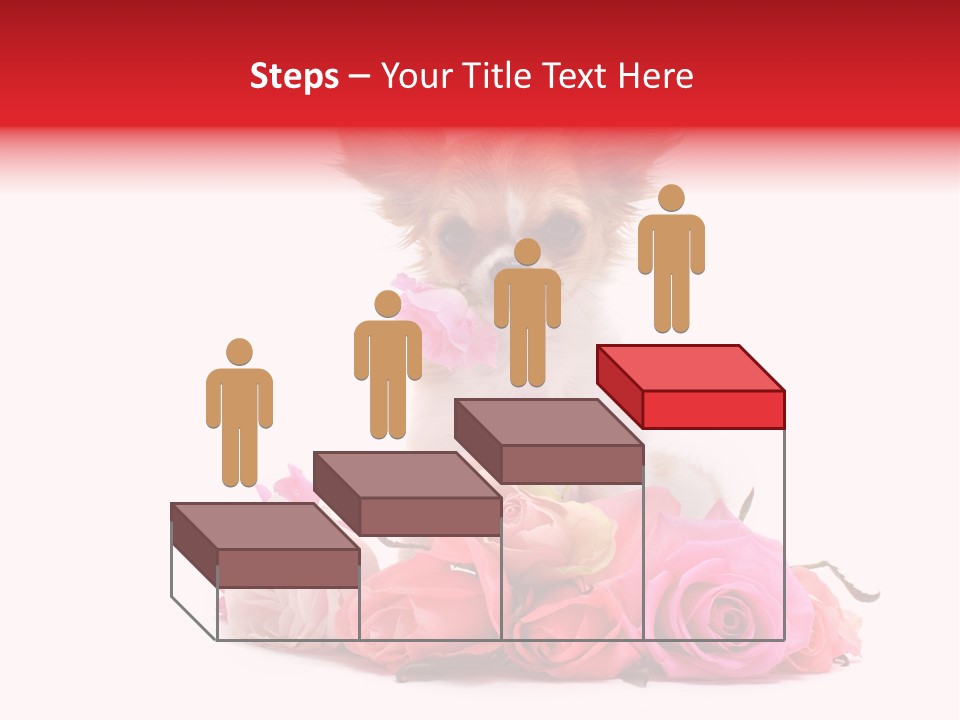 Purebred Cute White PowerPoint Template