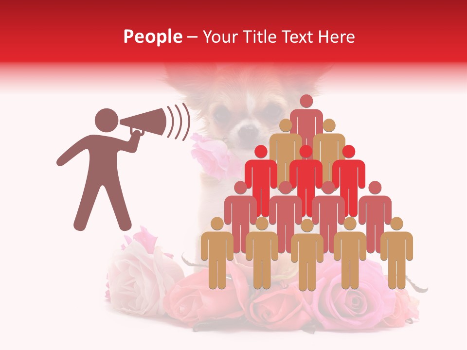 Purebred Cute White PowerPoint Template