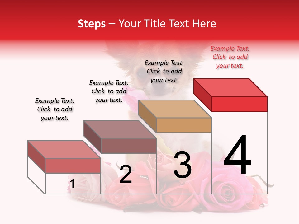 Purebred Cute White PowerPoint Template