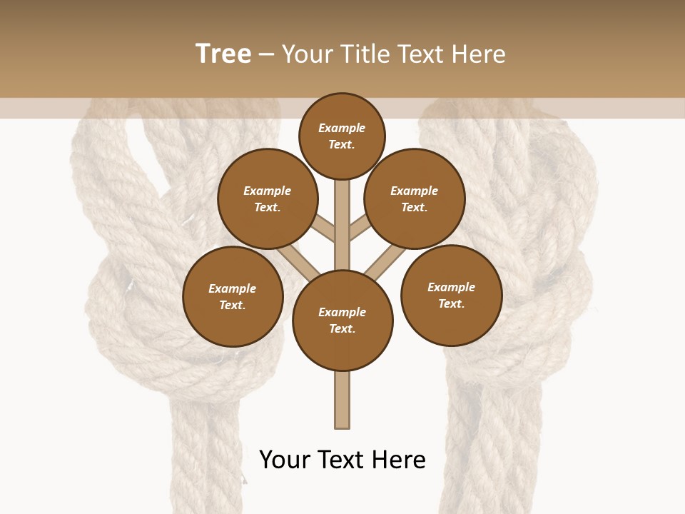 Texture Boat Academic PowerPoint Template