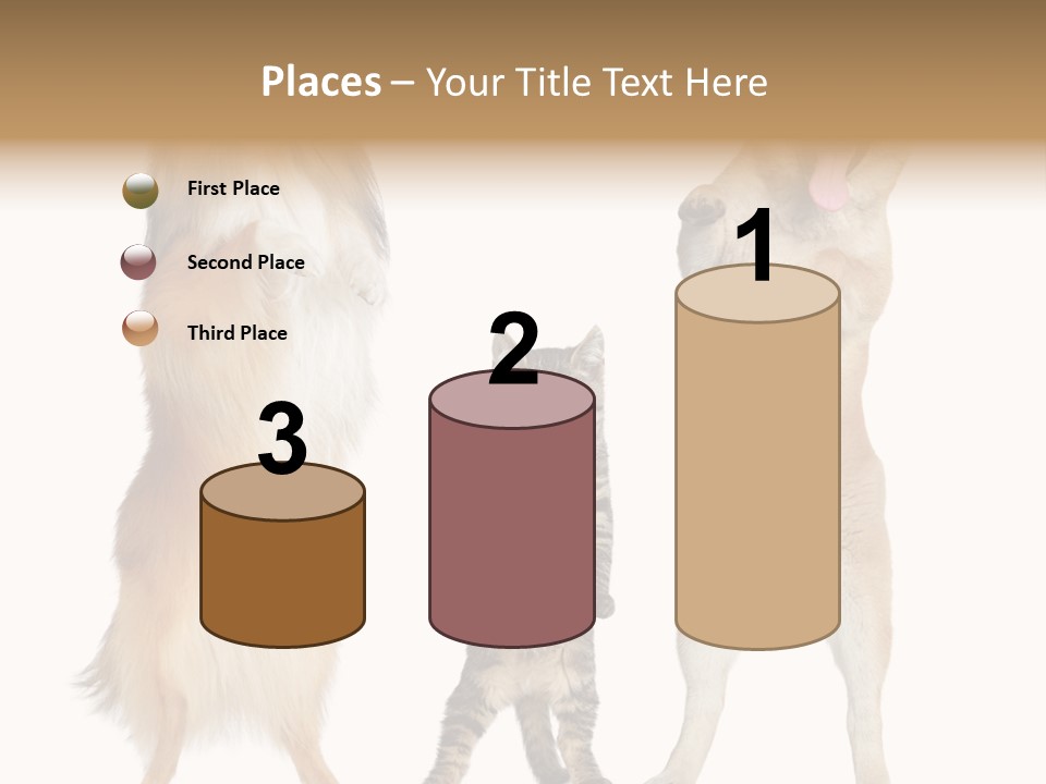 Shiba Collie Shibainu PowerPoint Template