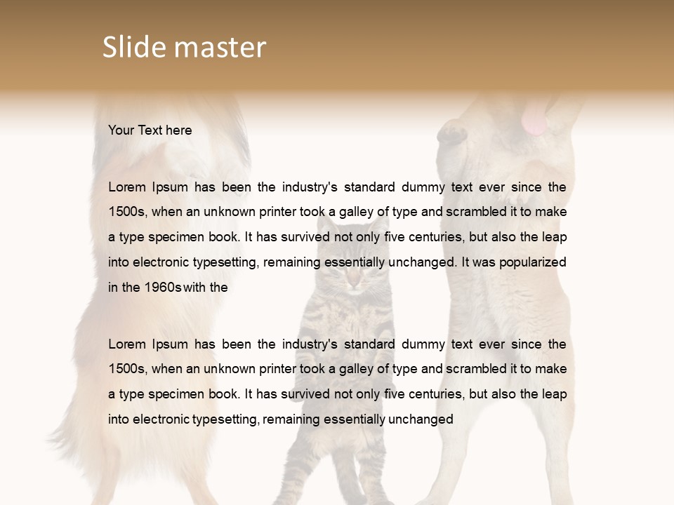 Shiba Collie Shibainu PowerPoint Template