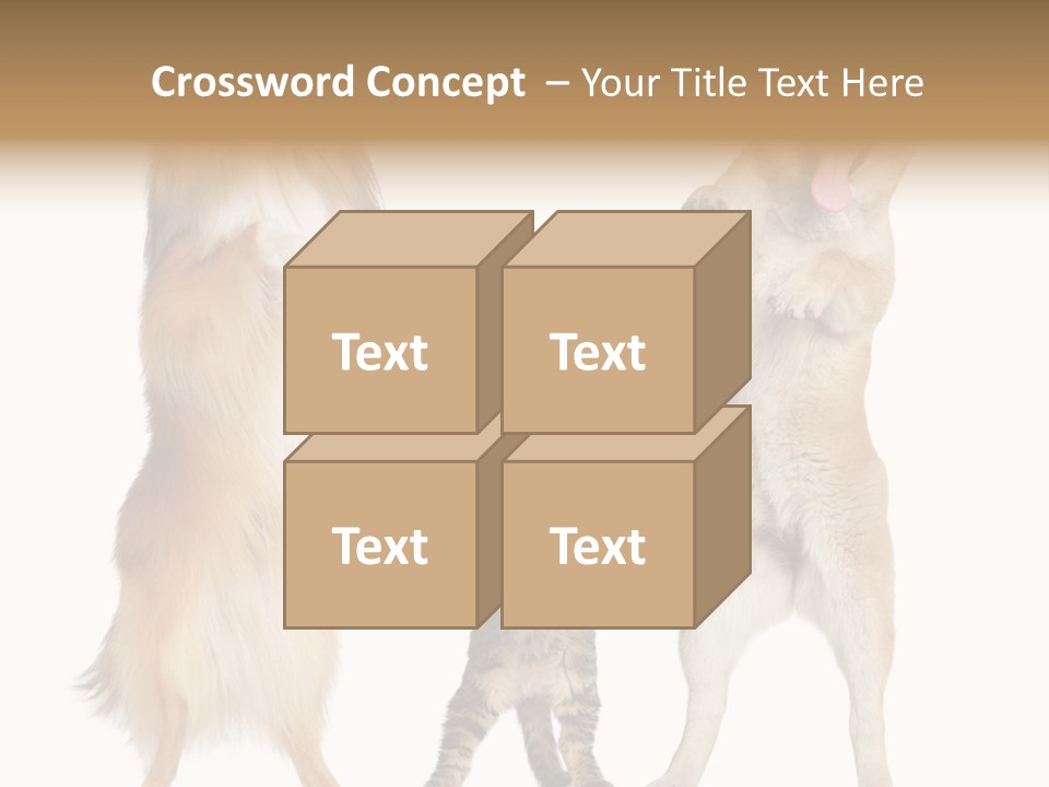 Shiba Collie Shibainu PowerPoint Template