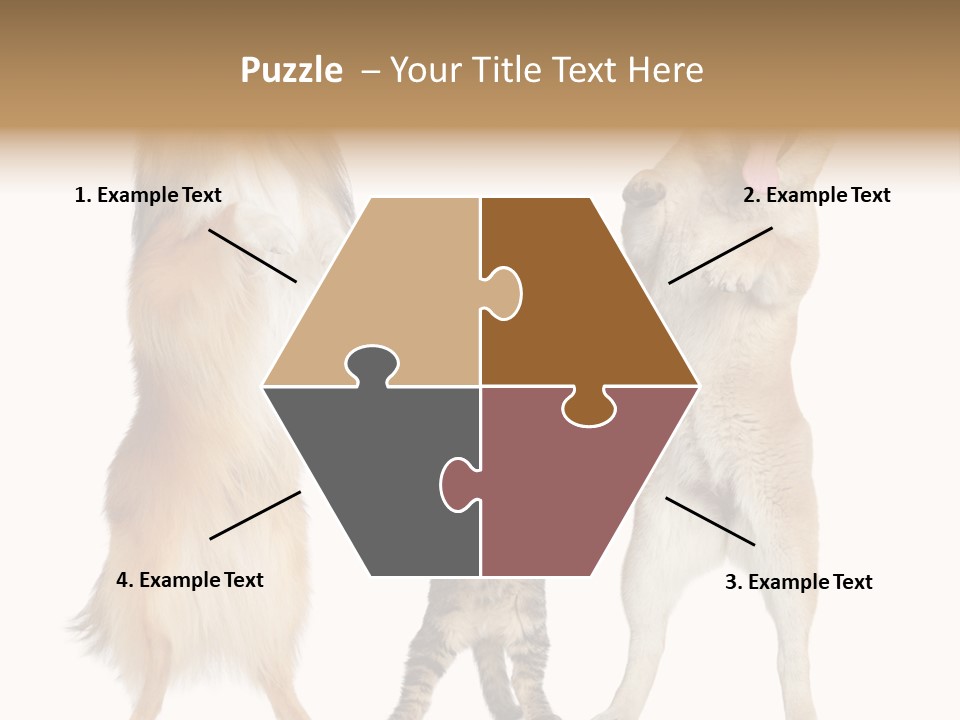 Shiba Collie Shibainu PowerPoint Template