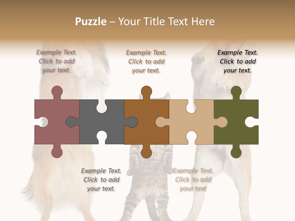 Shiba Collie Shibainu PowerPoint Template