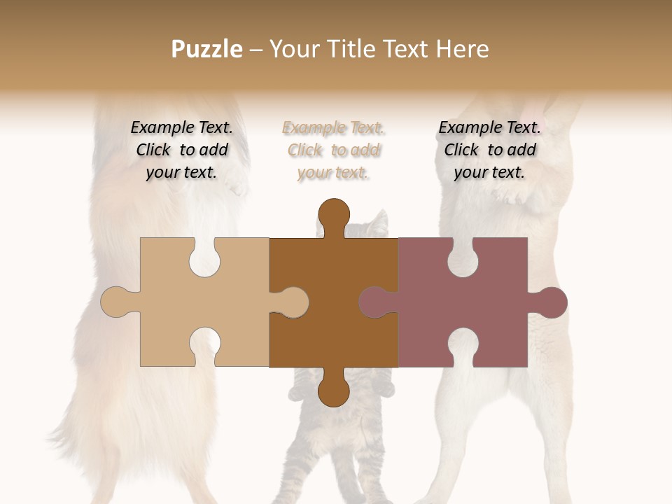 Shiba Collie Shibainu PowerPoint Template