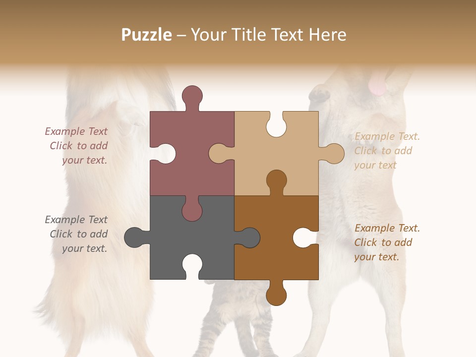 Shiba Collie Shibainu PowerPoint Template