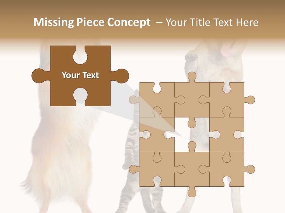 Shiba Collie Shibainu PowerPoint Template