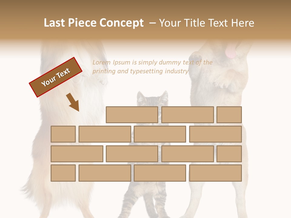 Shiba Collie Shibainu PowerPoint Template