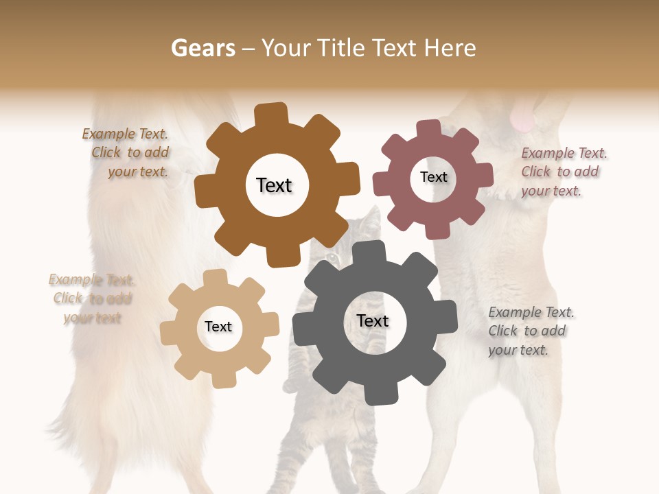 Shiba Collie Shibainu PowerPoint Template