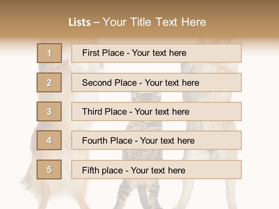 Shiba Collie Shibainu PowerPoint Template