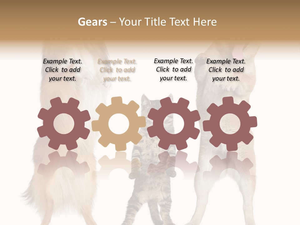 Shiba Collie Shibainu PowerPoint Template