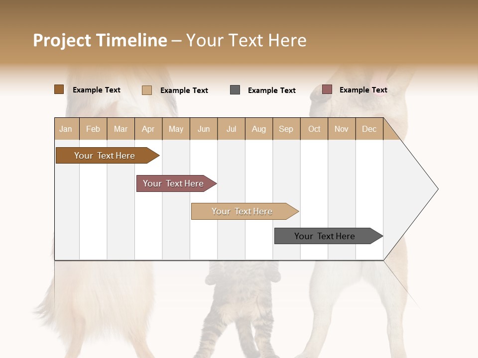 Shiba Collie Shibainu PowerPoint Template