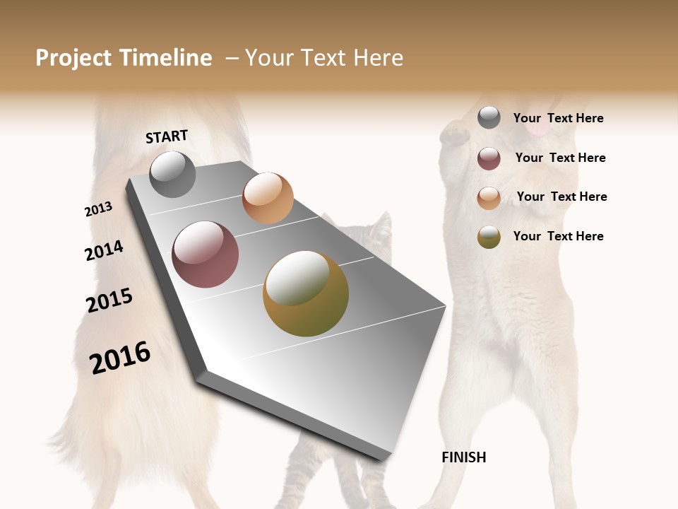 Shiba Collie Shibainu PowerPoint Template
