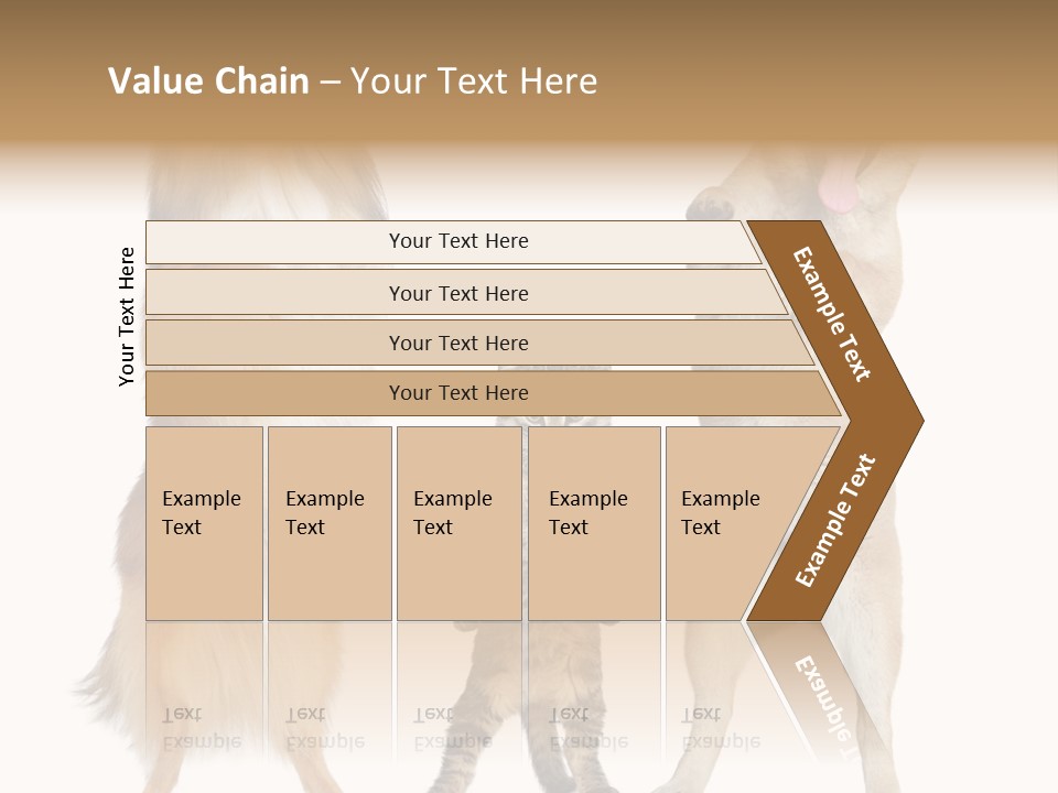 Shiba Collie Shibainu PowerPoint Template