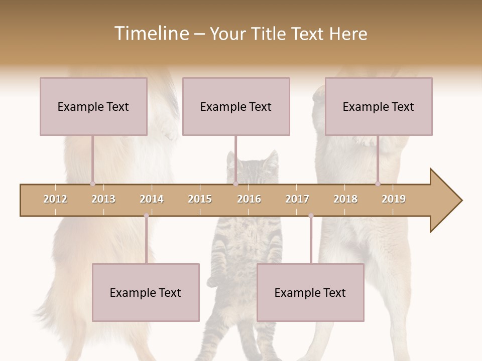 Shiba Collie Shibainu PowerPoint Template