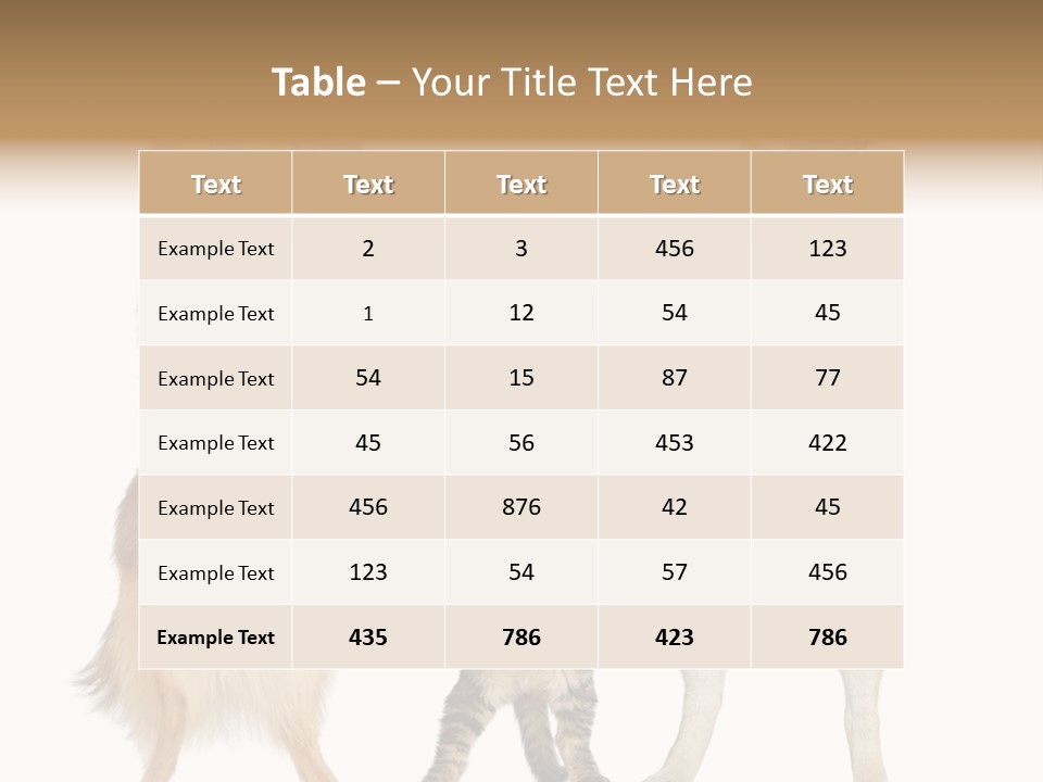 Shiba Collie Shibainu PowerPoint Template