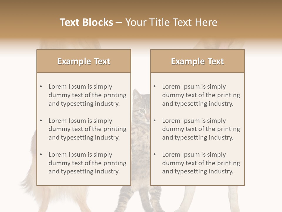 Shiba Collie Shibainu PowerPoint Template