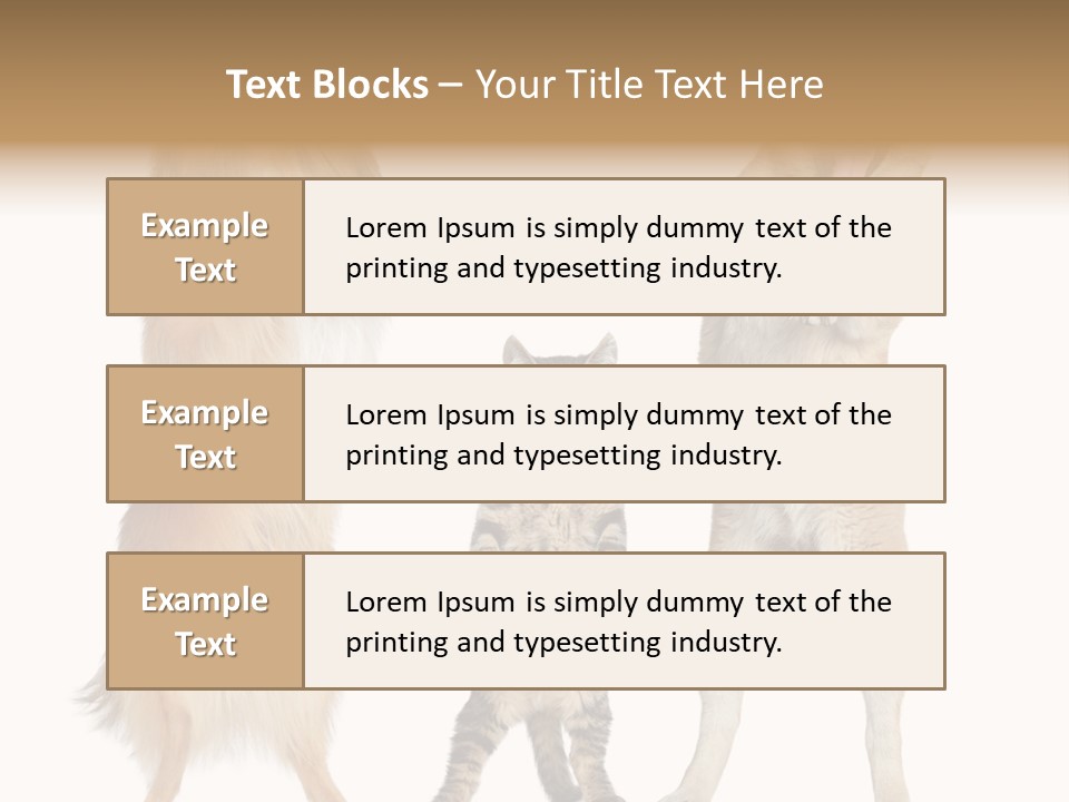 Shiba Collie Shibainu PowerPoint Template