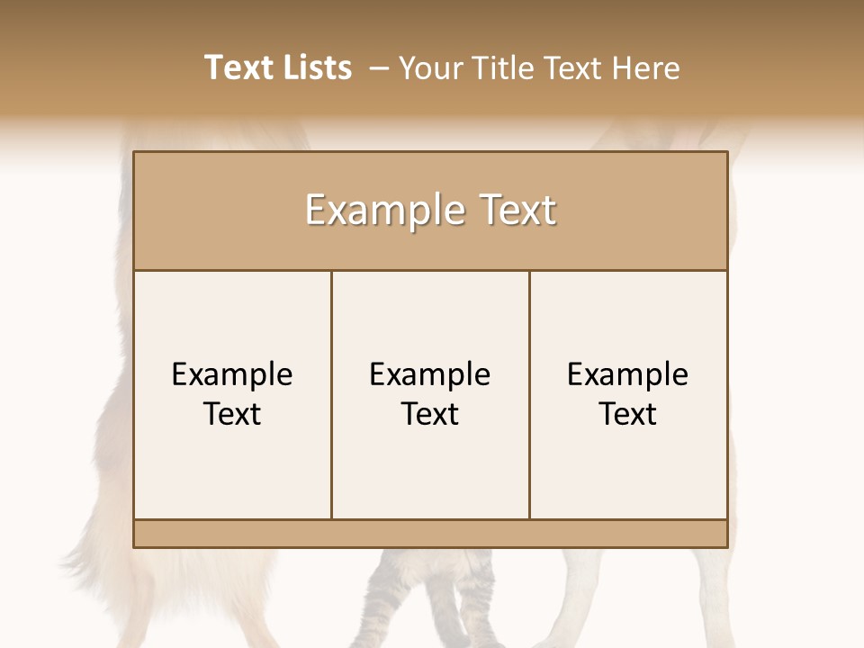 Shiba Collie Shibainu PowerPoint Template