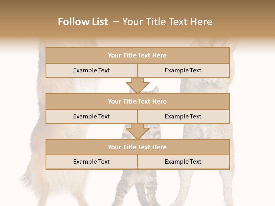 Shiba Collie Shibainu PowerPoint Template