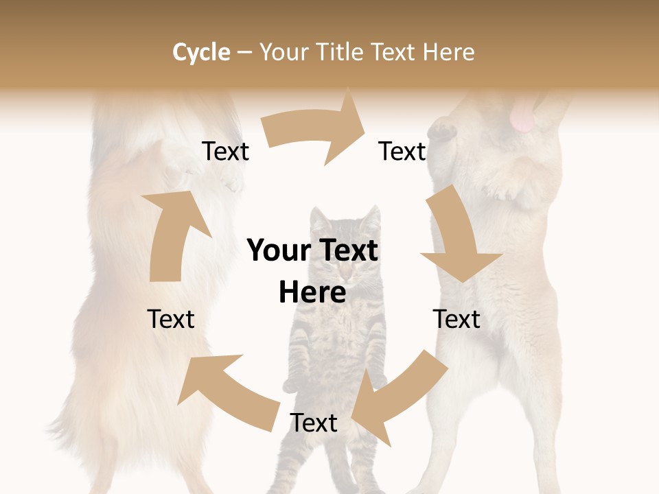 Shiba Collie Shibainu PowerPoint Template