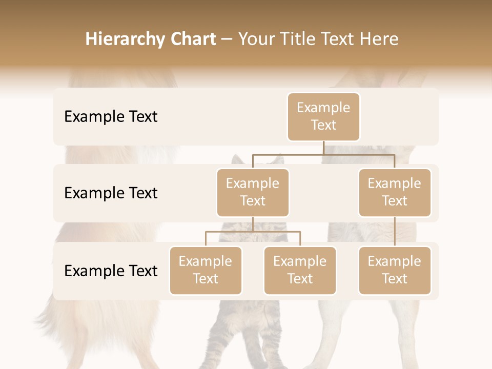 Shiba Collie Shibainu PowerPoint Template