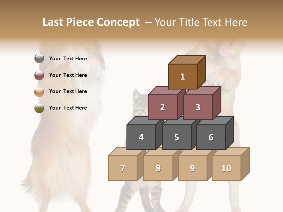 Shiba Collie Shibainu PowerPoint Template