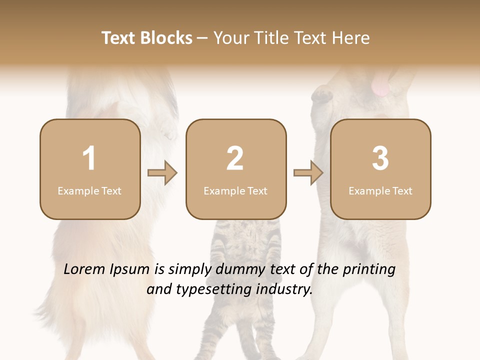 Shiba Collie Shibainu PowerPoint Template