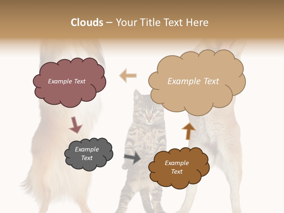 Shiba Collie Shibainu PowerPoint Template