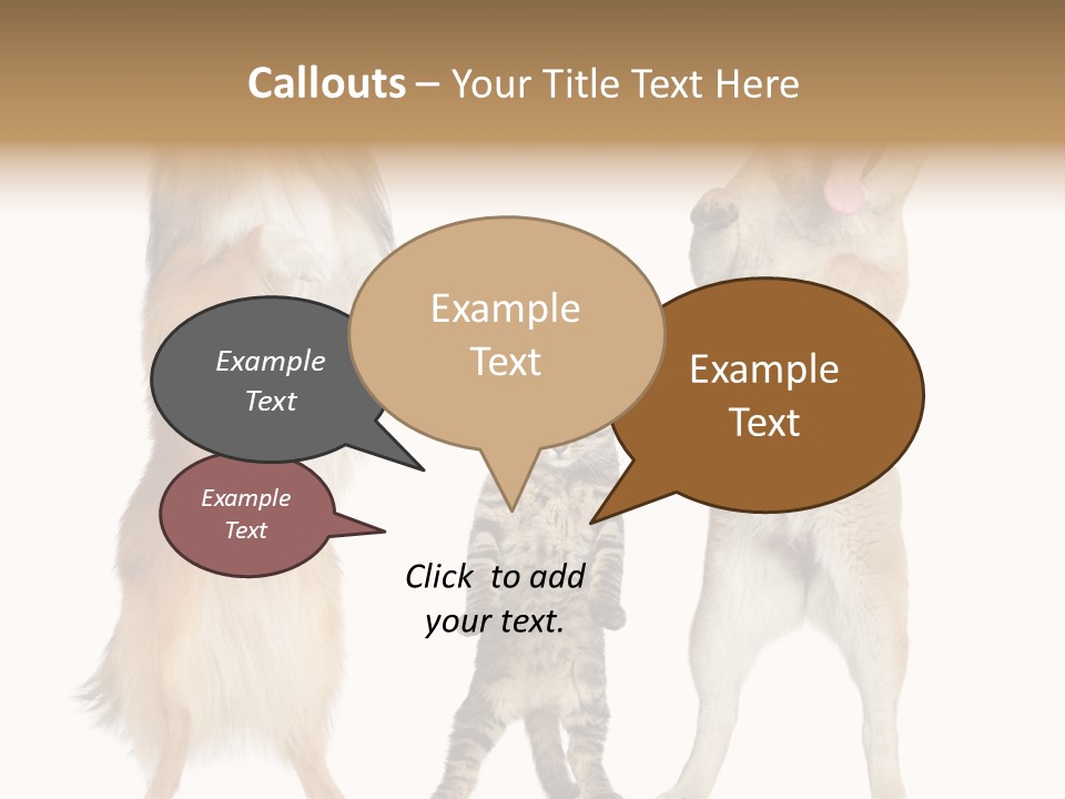 Shiba Collie Shibainu PowerPoint Template