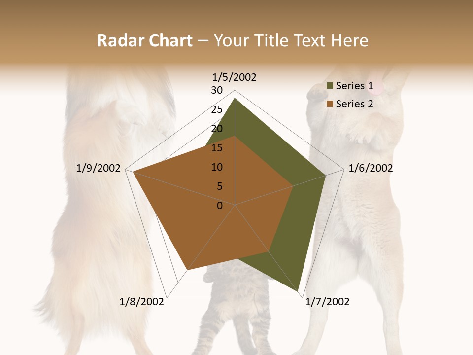 Shiba Collie Shibainu PowerPoint Template