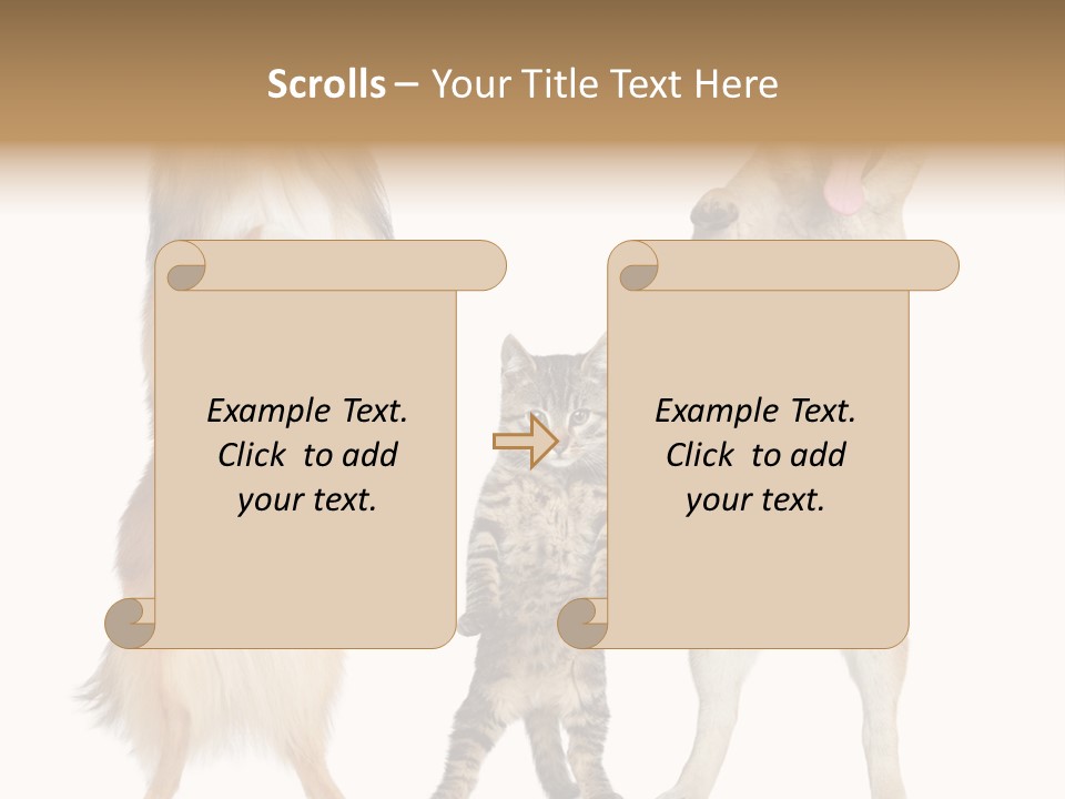 Shiba Collie Shibainu PowerPoint Template