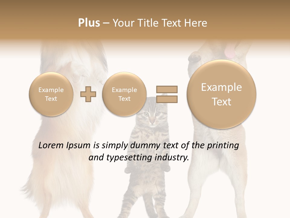 Shiba Collie Shibainu PowerPoint Template