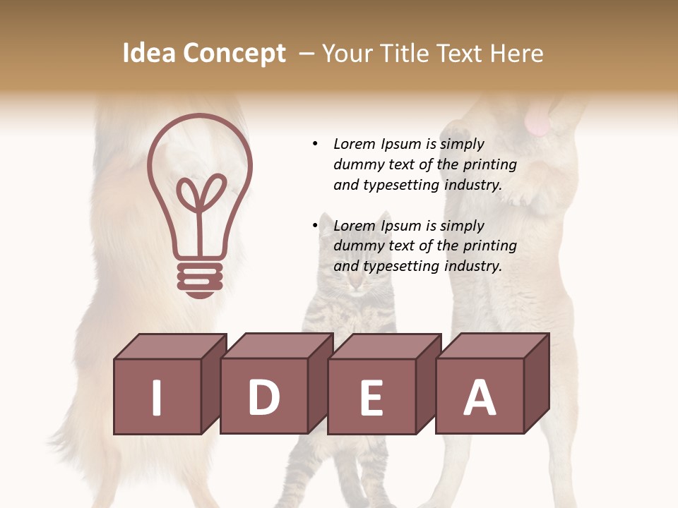 Shiba Collie Shibainu PowerPoint Template