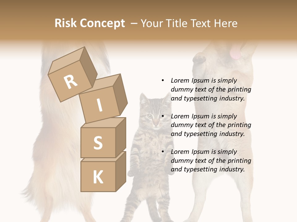 Shiba Collie Shibainu PowerPoint Template