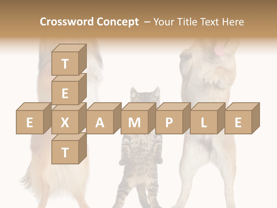 Shiba Collie Shibainu PowerPoint Template