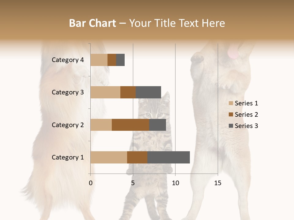 Shiba Collie Shibainu PowerPoint Template