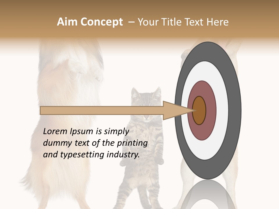 Shiba Collie Shibainu PowerPoint Template