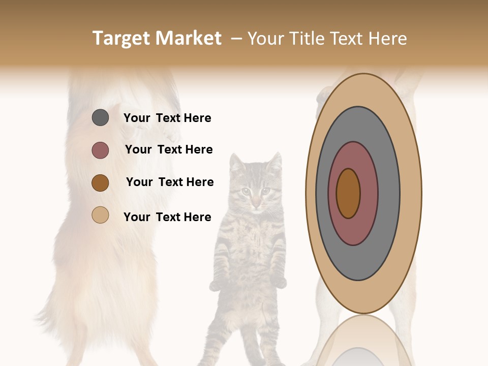 Shiba Collie Shibainu PowerPoint Template