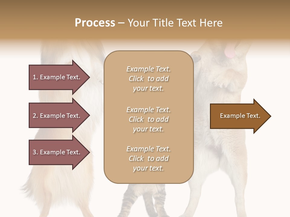 Shiba Collie Shibainu PowerPoint Template