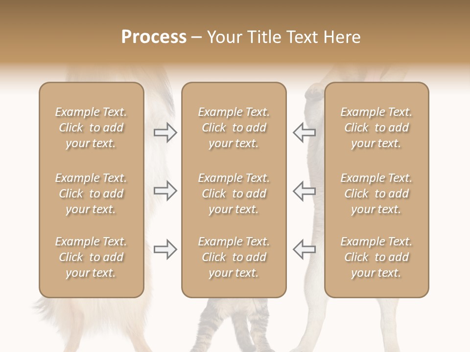Shiba Collie Shibainu PowerPoint Template