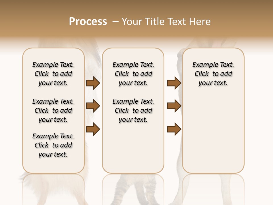 Shiba Collie Shibainu PowerPoint Template