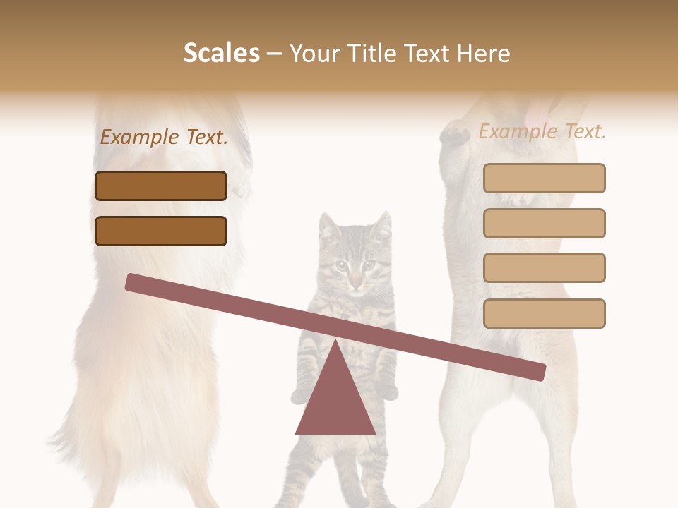 Shiba Collie Shibainu PowerPoint Template