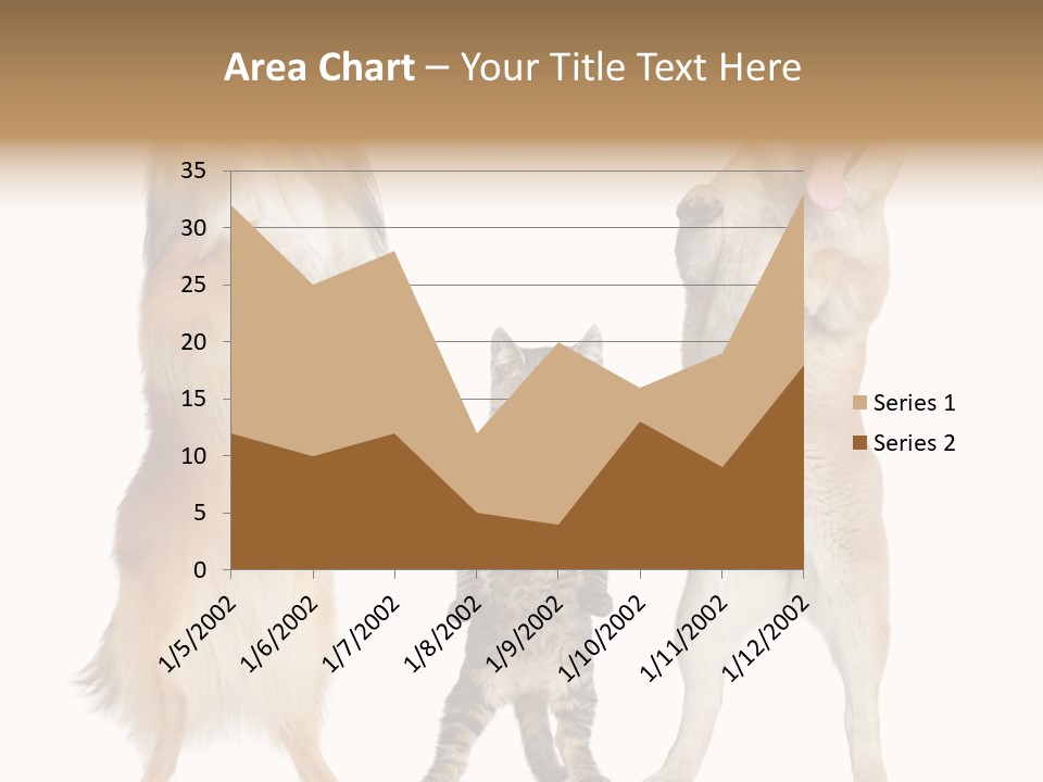 Shiba Collie Shibainu PowerPoint Template