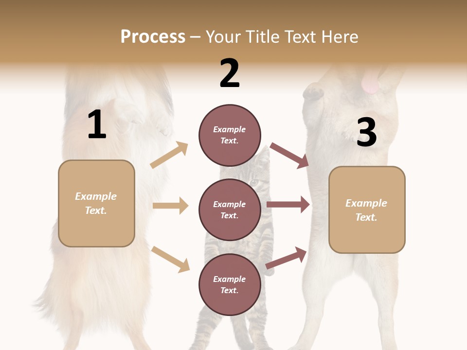 Shiba Collie Shibainu PowerPoint Template