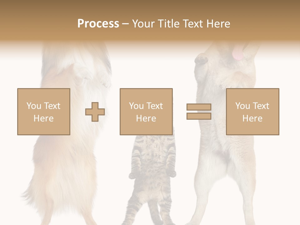 Shiba Collie Shibainu PowerPoint Template